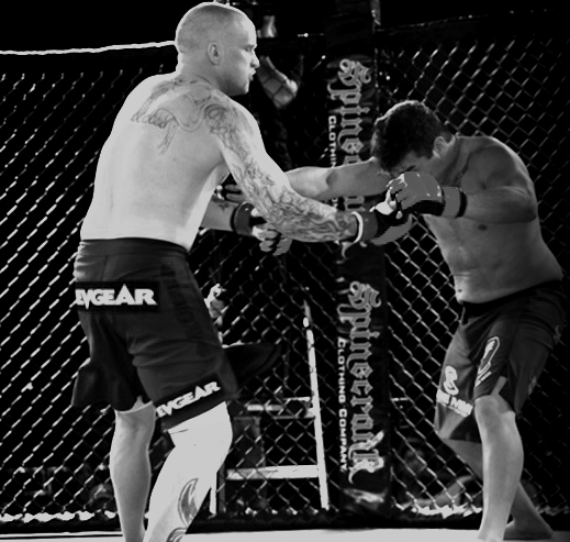 MMA Photo2